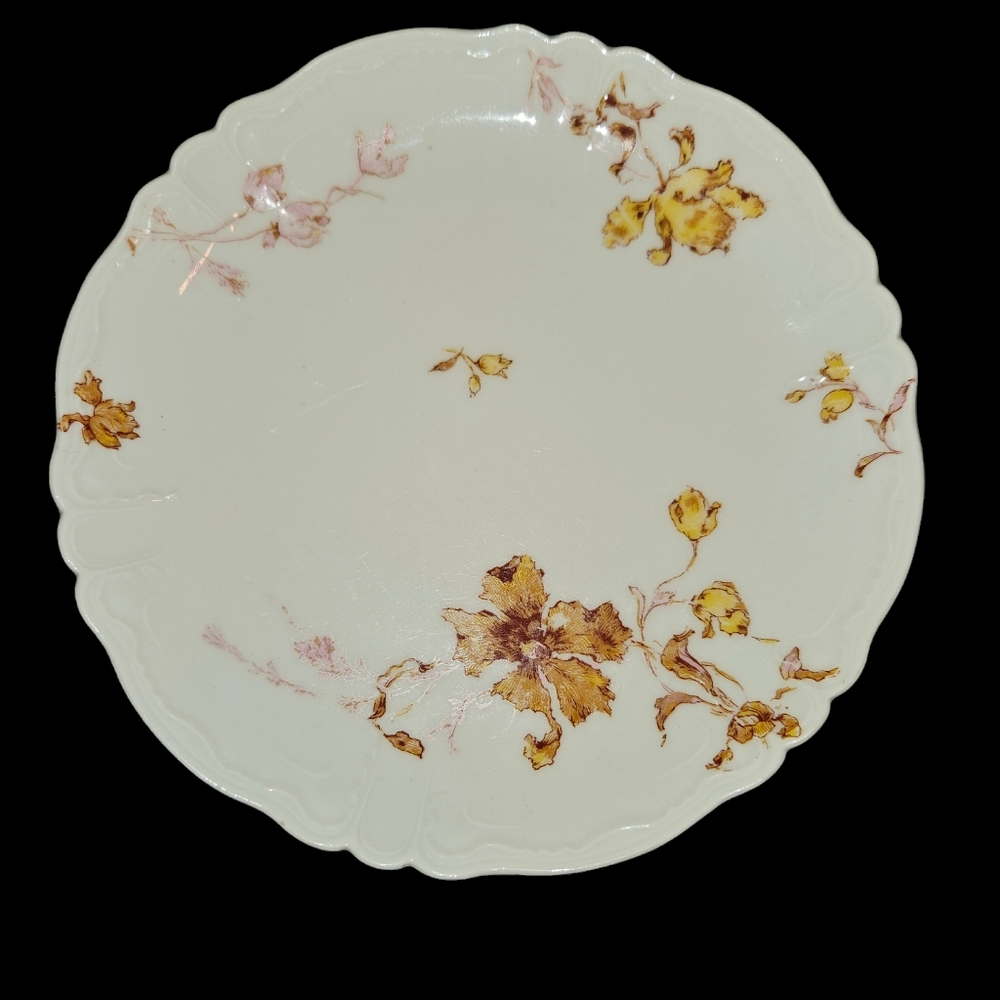 Vintage Limoges Plate